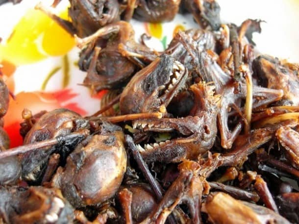 Ready to try fried bat in Southeast Asia?