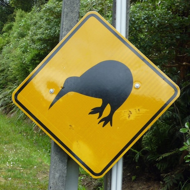 Kiwi sign