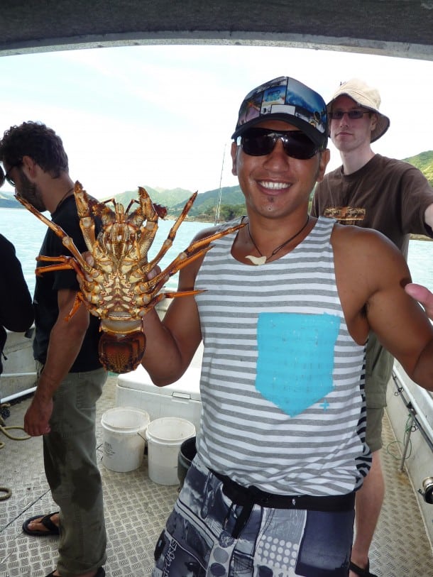 Crayfish boat trip, Maraehako Bay