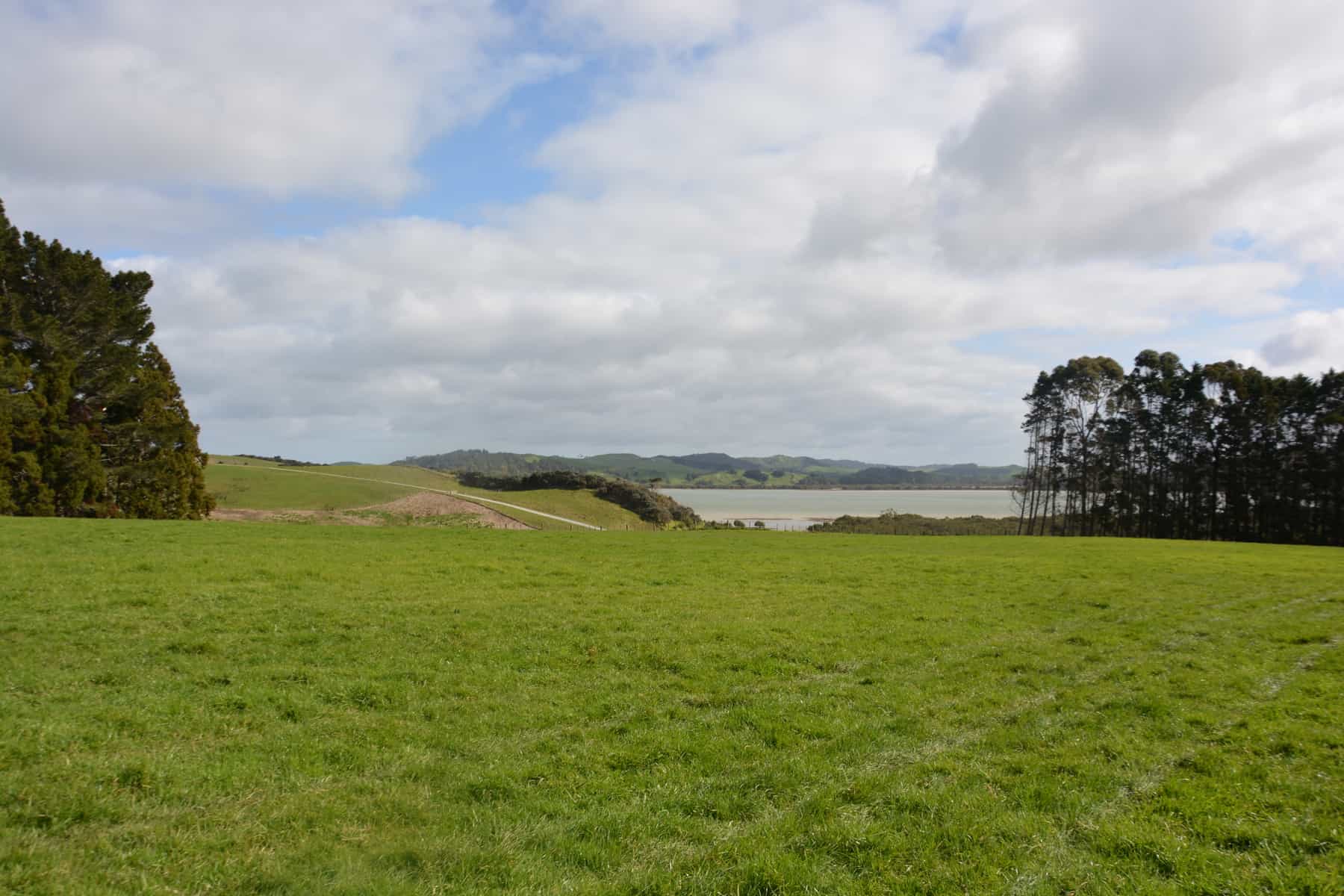 Scenic Atiu Creek Regional Park situated on the Kaipara Harbour in northwest Auckland