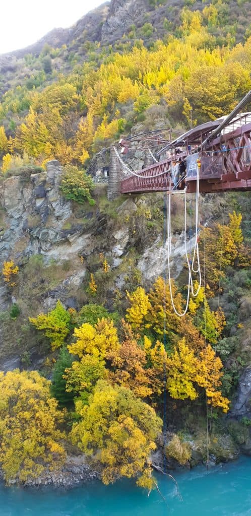 South Island bungee in Autumn