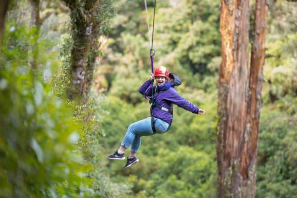 Ziplining with Rotorua Canopy Tours - Stray New Zealand