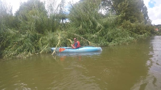 Kayak in the mangroves
