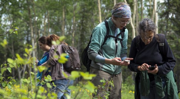 Hikers using their phones in the forest