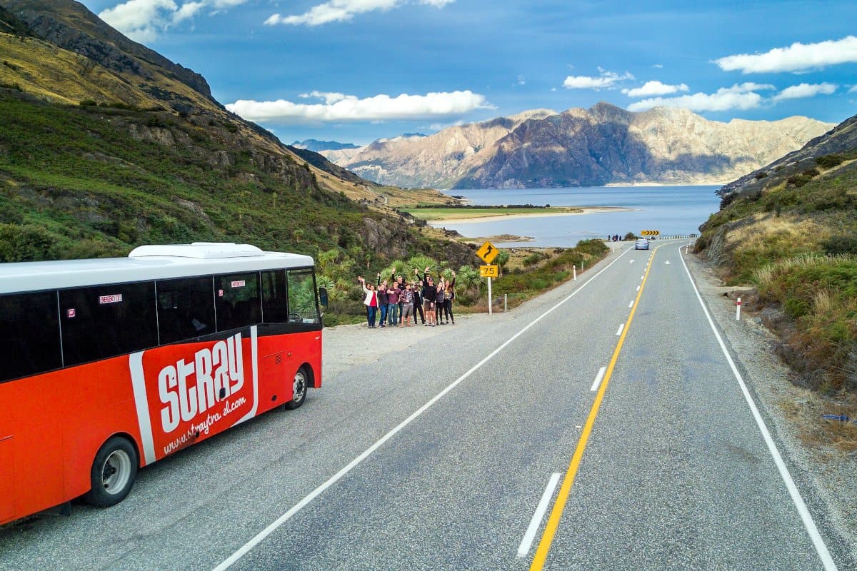 Explore New Zealand on a Stray bus tour